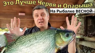 БЕШЕНЫЙ КЛЁВ ВЕСНОЙ!  Весенняя рыболовная насадка для рыбалки на поплавок