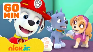 PAW Patrol Friendship Adventures & Rescues! w/ Marshall and Skye | 1 Hour Compilation | Nick Jr.