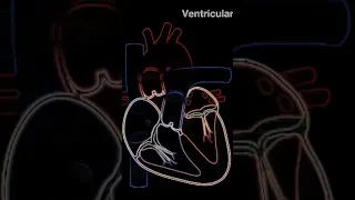 Unlocking the Heart: S1 Heart Sound and Ventricular Systole #medical