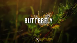 "Butterfly" - Inspiring Rap Beat | Free Hip Hop Instrumental Music 2022 | InfiniteRB #Instrumentals