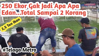 Mancing Di Sini 250 Ekor Cuma Hiburan, Gila Total Sampai 2 Kali Timbangan | Telaga Metro feat MMFC