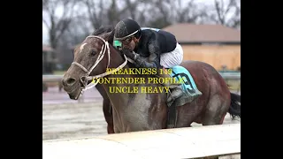 PREAKNESS 149 CONTENDER PROFILE - UNCLE HEAVY