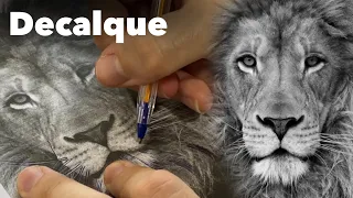 Como tirar decalque de leão na Tatuagem ⚜️ (Vinícius Barnabé)