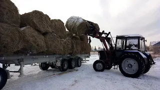 Перевозка сена на камазе