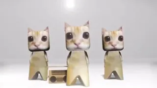 бумажные коты флексят под фонк