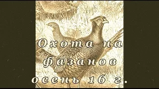 Охота на фазанов с легавыми, Ростовская обл., 16 г. Pheasant hunting with german wiheraired pointer.