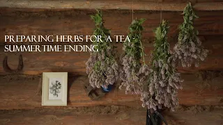 Preparing herbs for a tea - summertime ending