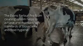 Evans Parlour Pro Foaming System