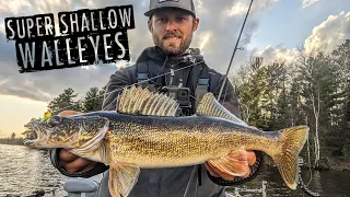 Jigging a TON of SUPER Shallow Walleyes on OPENER!