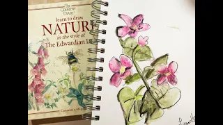 PART 1 Country Diary of an Edwardian Lady: remembering Edith Holden and playing with watercolors