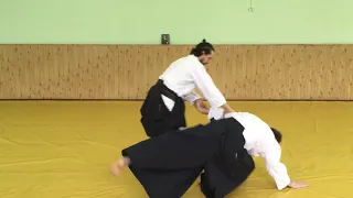 #3 Семинар Бастракова В. В. | Aikido | 合気道 | Айкидо