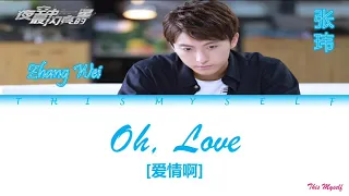 Zhang Wei (张玮) - Oh, Love (爱情啊) [The Brightest Star In The Sky (夜空中最闪亮的星) OST]