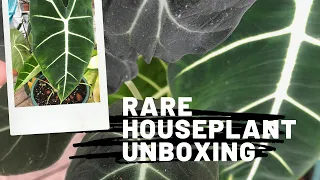 Rare Houseplant Unboxing!😍