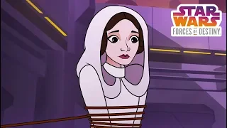 Star Wars Forces of Destiny | Bounty of Trouble | Disney XD