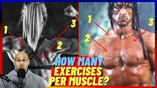 How Many Exercises For EFFECTIVE Muscle Growth ?