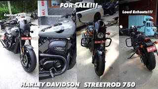 Harley Davidson StreetRod 750 || For SALE || FULL REVIEW || LOUDEST EXHAUST || SOUTH DELHI || ABBI