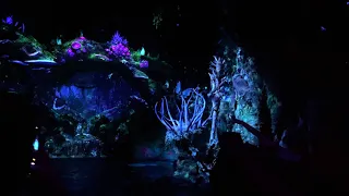 Navi River Journey 4K 60FPS, Animal Kingdom, Walt Disney World