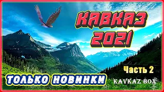 КАВКАЗ 2021 – Только новинки (часть 2) ✮ Kavkaz Box