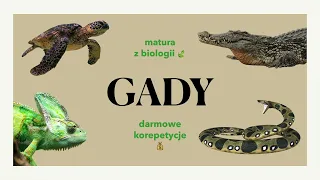 #32 Gady - podział, budowa, charakterystyka 🦎🐢🐍  matura z biologii 📕 liceum