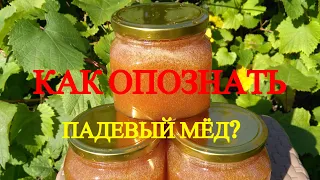 падевый мёд, медвяная падь