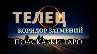 ♉ТЕЛЕЦ. Коридор затмений 19 НОЯБРЯ - 4 ДЕКАБРЯ. Общая энергетика знака зодиака.