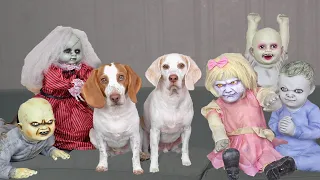 Dog vs Little Zombies Apocalypse! Funny Dogs Maymo & Potpie Open Zombie Kids Daycare