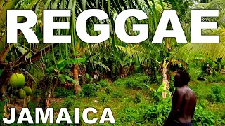 Reggae Mix 2023 - FEEL GOOD REGGAE MUSIC (Positive Reggae Ja)