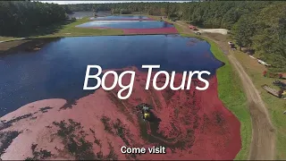 Cranberry Harvest Bog Tours are open for 2023 cc