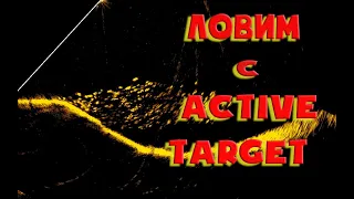 Как видит рыбу  Active Target от Lowrance. Судак на вибы в декабре.