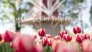 81st Orange City Tulip Festival