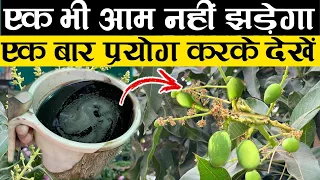 आम के पौधे से फल अब नहीं झड़ेगा | How To Control Mango Fruit Dropping | Mango Tree Dropping Fruit