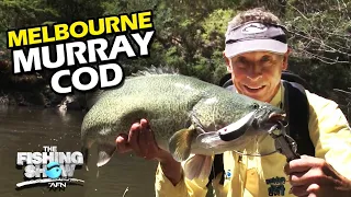 Melbourne Murray Cod