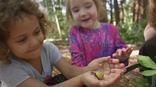 Changing The Nature Of Preschool