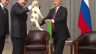 Президент Туркменистана подарил Путину щенка алабая