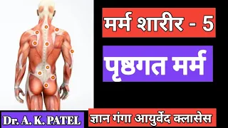 पृष्ठगत मर्म, मर्म शारीर,Pristhagat marma, pristha marma, madhya sharir marm, antaradhi marma, ncism