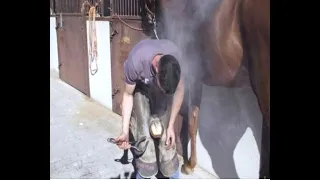 Herrador de caballos: clase práctica en Escuela de Herradores Manuel de la Rosa | Todo Caballo