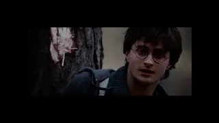 Harry vs. Ron. [deleted scene of Harry Potter]
