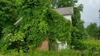 Abandoned Overgrown Farm House And Farm Stand