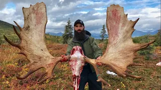 OUR BIGGEST MOOSE EVER!! 65" Giant Bull | S4E05 | Limitless Outdoors