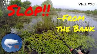 Bass Fishing: Slop, From the Bank: VFJ20