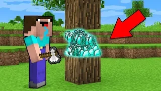 Minecraft Battle - NOOB vs PRO : NOOB BROKE WOOD AND FOUND TREASURES! (Animation)