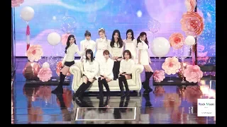 트와이스 (TWICE)SAY YES[4K 60P 직캠]@190105 락뮤직