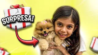 ELA FICOU CHOCADA COM A SURPRESA ! 🐶