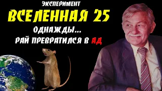 Эксперимент Вселенная 25. Однажды рай превратился в ад.