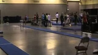 Alexis Beucler- Vault 2013