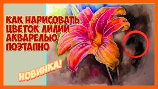 Как нарисовать цветок лилии акварелью поэтапно/ Полный видеоурок