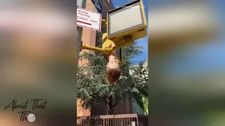 ONLY IN NEW YORK #29 [REUPLOAD]