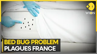 France faces bed bug nuisance ahead of 2024 Paris Olympics | World News | WION