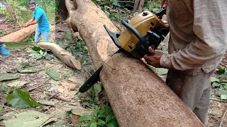 Amazing Fastest Skill Cutting | Big Tree Chainsaw Machine | Fastest Tree Cutting Machine