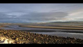 White rock beach low tide